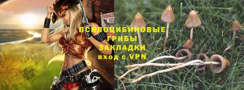 Галлюциногенные грибы MAGIC MUSHROOMS  Людиново 